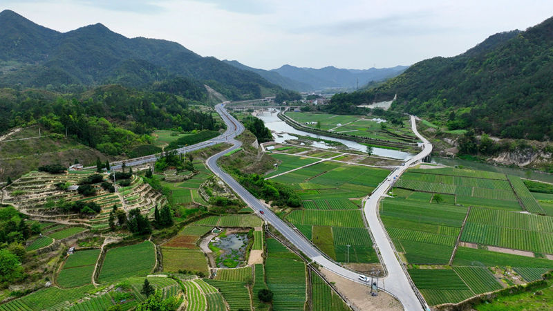 系統合作 | 延伸服務鏈條 探索產業共富新實踐